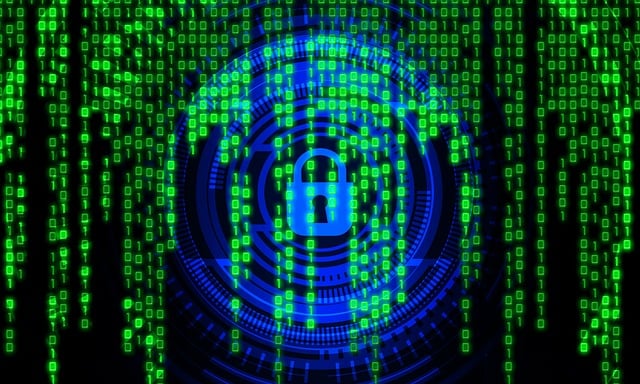 ciber seguridad
