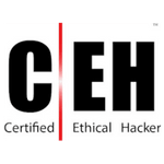 empresa ciberseguridad ceh